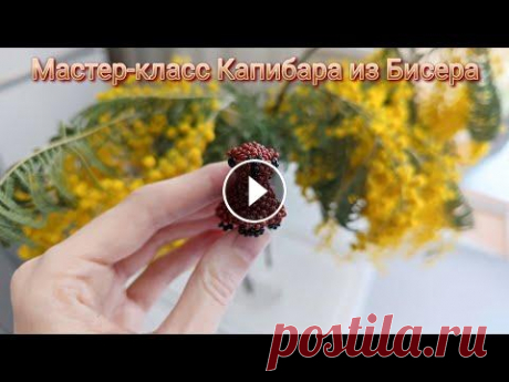 Мастер-класс Капибара из Бисера Мастер-класс как сплести Капибару из бисера в технике плетения крестик. Капибара в высоту 3 см. Основного коричневого бисера 4 гр. Бусины 4 мм. Автор:...