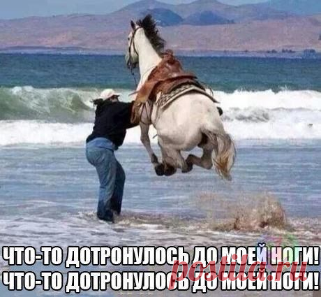 Убейся Позитивом :D