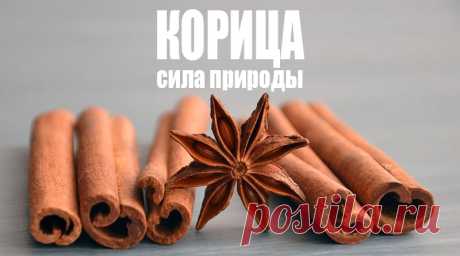 Корица - полезные свойства, противопоказания, как принимать