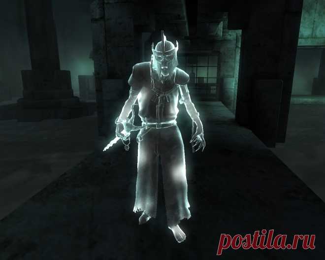 Низший лич (Nether Lich), одна из двух разновидностей высшей формы нежити, в которую может превратиться в результате сложного ритуала могущественный некромант. От обычных личей отличается полупрозрачным обликом и чуть меньшими способностями. Хорошо владеет магией разрушения. Иммунен к яду, холоду и параличу, но уязвим к огню.