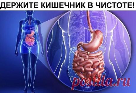 Держите кишечник в чистоте: доступные методы очищения - Я ЗДОРОВ! - медиаплатформа МирТесен