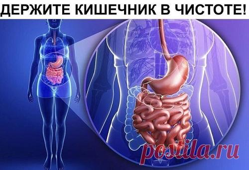 Держите кишечник в чистоте: доступные методы очищения - Я ЗДОРОВ! - медиаплатформа МирТесен