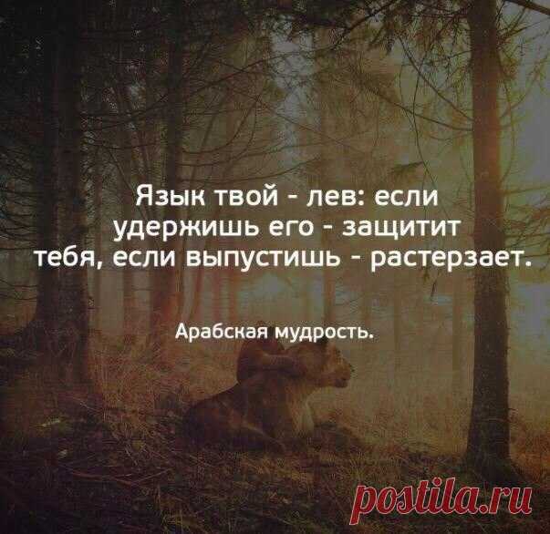 Душа Волка