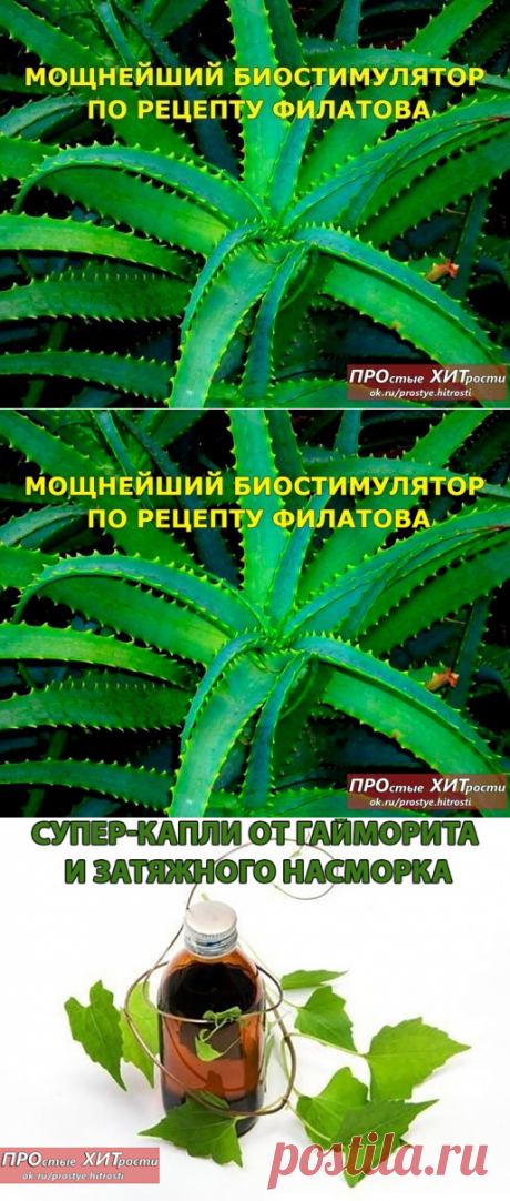 Лечение алоэ и водой.