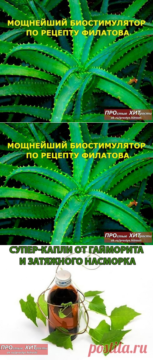 Лечение алоэ и водой.