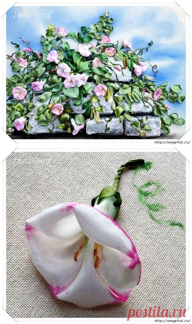 Вышиваем вьюнок