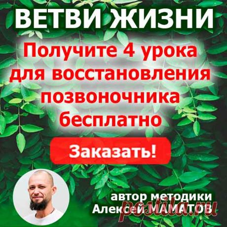 зеленые овощи | Блог Валерия Жданова