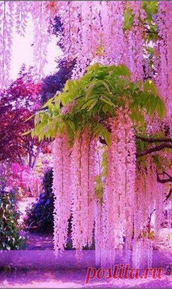 Pour Le Plaisir Des Yeux