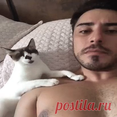 (47) Одноклассники