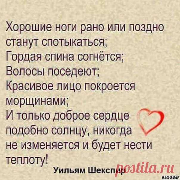 fI9RtZaje2U.jpg (604×604)