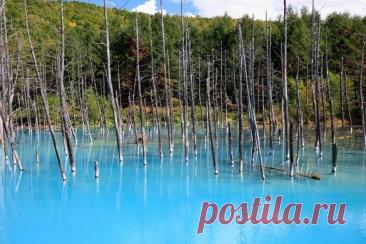 Голубой пруд (Blue Pond), Хоккайдо, Япония.