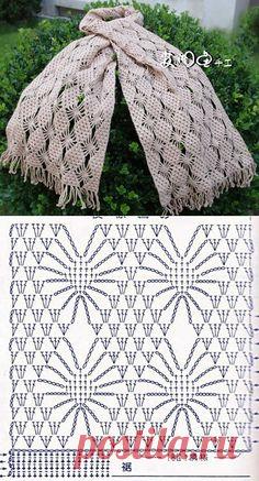 Uma seleção de estolas complementar guarda-roupa de qualquer mulher!