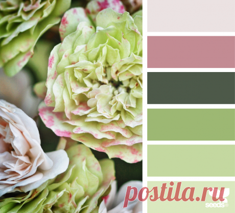 design seeds | for all who ♥ color