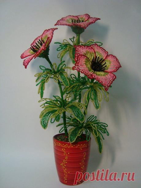 Анемоны - цветы из бисера  - Каталог статей - бисерные фантазии