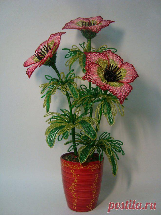 Анемоны - цветы из бисера  - Каталог статей - бисерные фантазии