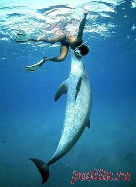 Дневник Ghenadie