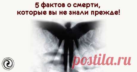 Какие факты Вы не знали о смерти 
 
 



 
Нет сомнения, что смерть – один из самых таинственных и интригующих аспектов человеческой жизни. Жизнь предполагает смерть, поэтому ученые постоянно ищут интересную информацию о самом процес…