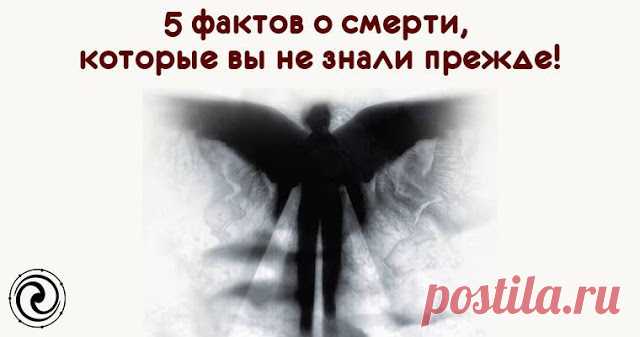 Какие факты Вы не знали о смерти 
 
 
 
Нет сомнения, что смерть – один из самых таинственных и интригующих аспектов человеческой жизни. Жизнь предполагает смерть, поэтому ученые постоянно ищут интересную информацию о самом процес…