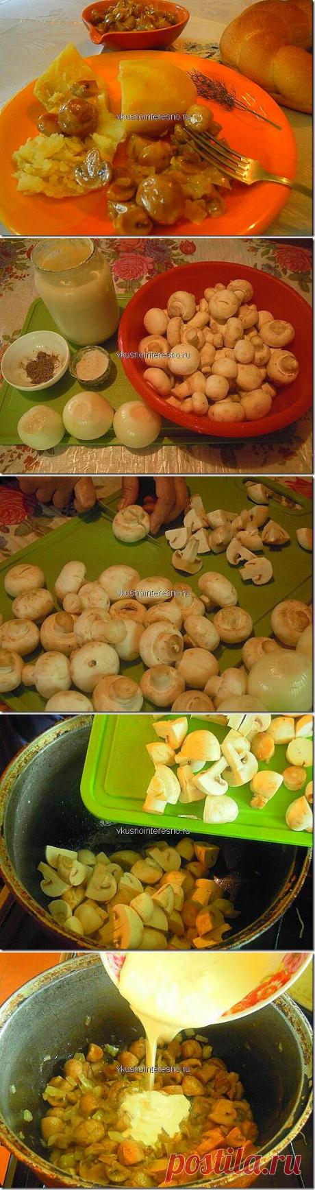 шампиньоны жареные со сметаной  | Вкусно приготовить самим