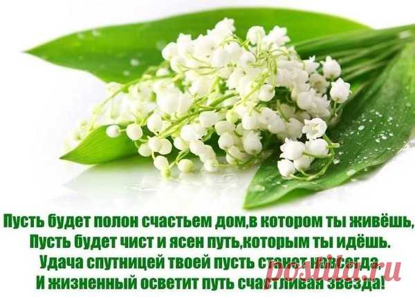 Мой Мир@Mail.Ru