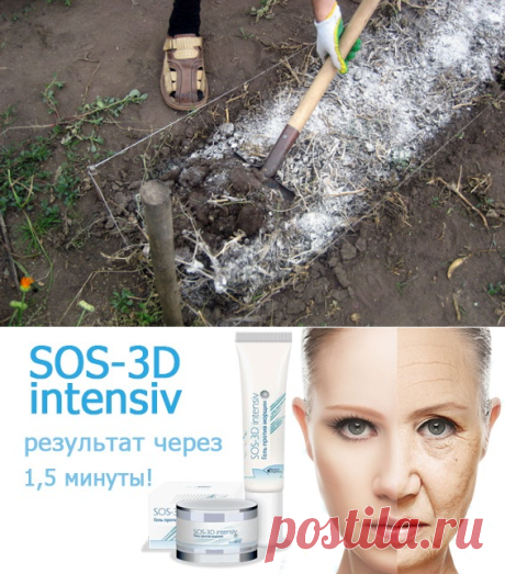 Когда почве нужно известкование