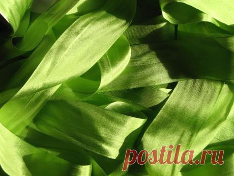 Кудесница Олеся
31 год, , Волгоград