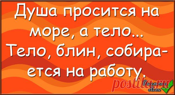 Анекдоты