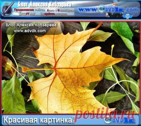Как делать красивые картинки для блога. Лучший метод!