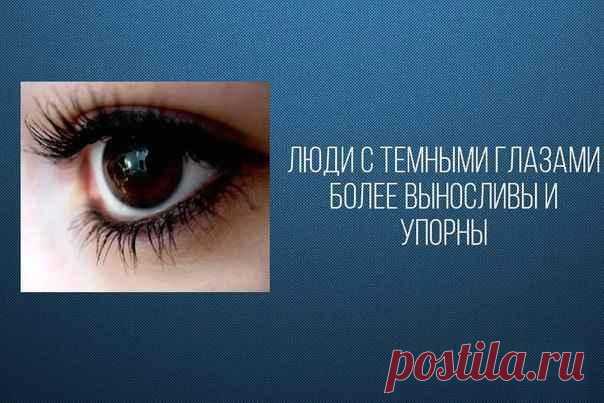 Люся