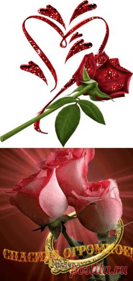 А Т А К А - РЕЦЕПТЫ диеты д. Дюкана: : Дневники - diets.ru