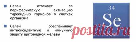 (+1) - Селенодефицит – новая проблема XXI века | КРАСОТА И ЗДОРОВЬЕ