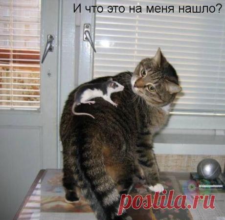 Новости