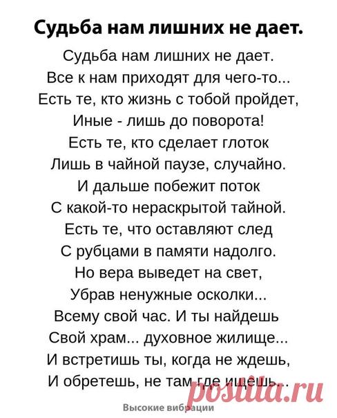 Елена Куршакова