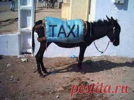 Кто заказывал такси на Дубровку?