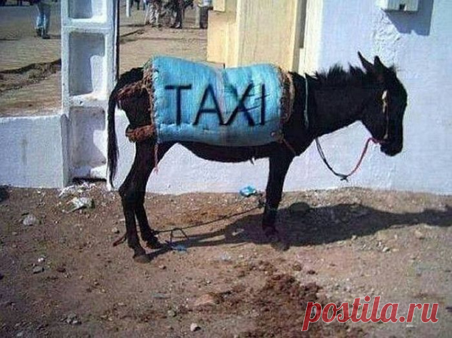Кто заказывал такси на Дубровку?