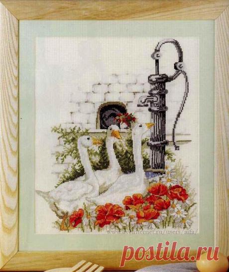 Без заголовка