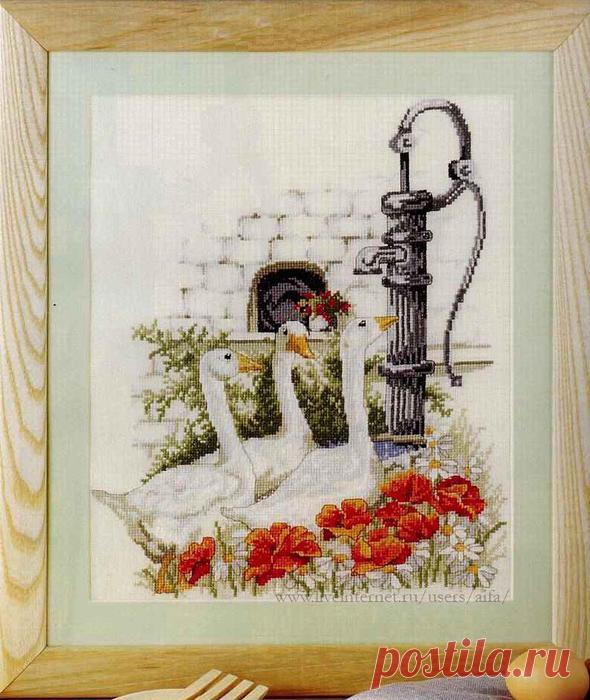 Без заголовка