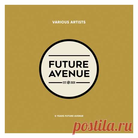VA - 5 Years Future Avenue FALP061 » MinimalFreaks.co