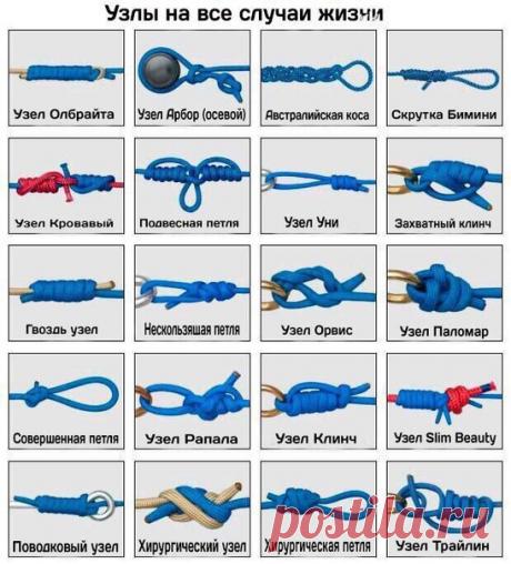 ---------------
Подписывайтесь на "Я садовод" https://vk.com/public96942565