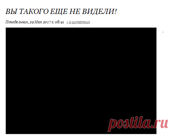 ВЫ ТАКОГО ЕЩЕ НЕ ВИДЕЛИ!
