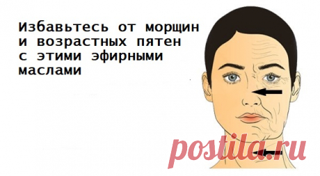 10 лучших антивозрастных масел для более молодой кожи — Сад Заготовки