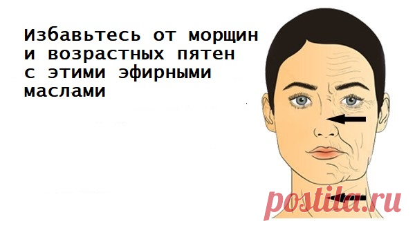 10 лучших антивозрастных масел для более молодой кожи — Сад Заготовки