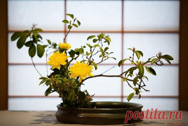 Уроки икебаны: как перехитрить зиму