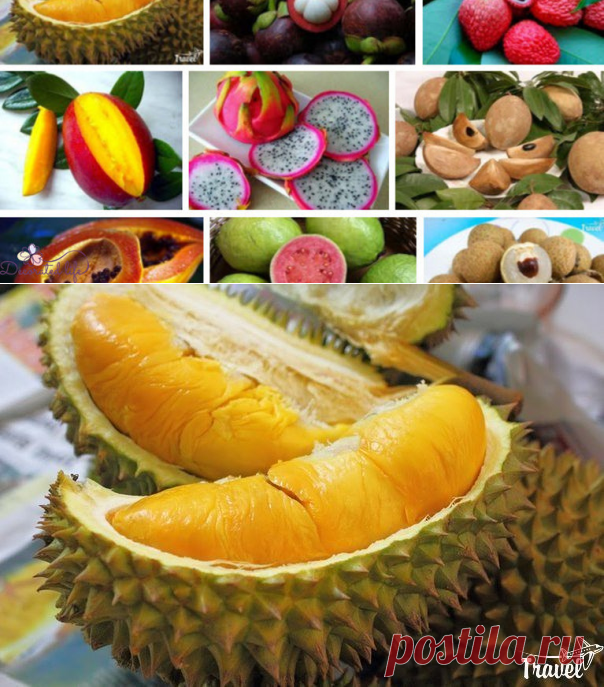 Гид по фруктам Юго-Восточной Азии - Блог - Decorated Life - сайт о том, как сделать своюжизнь красивой: декор дома, сладостей, поделки и рукоделие