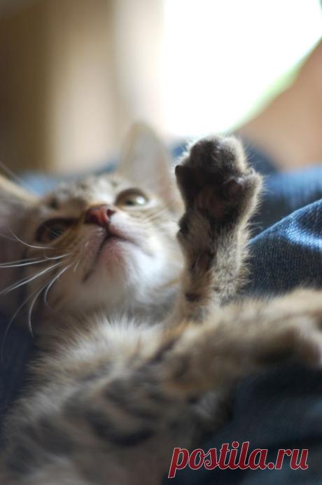 high five hubie | Flickr - Photo Sharing!