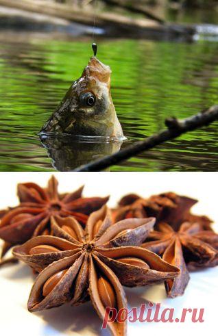 ​Ароматические добавки для успешной ловли! прикормка, оснастка, ловля, удочка, наживка, рыболов, водоем, рыба, рыба, крючок, черви, хобби, увлечение, озеро, поездка, речка, лодка, отдых, занятие, река, страсть, снаряжение, клев, улов, увлекаться, клевать, купаться, ловить, рыбная ловля, снасть, вываживание, подсечка, добыча, леска,снасти, крючок, грузило, лов, удила