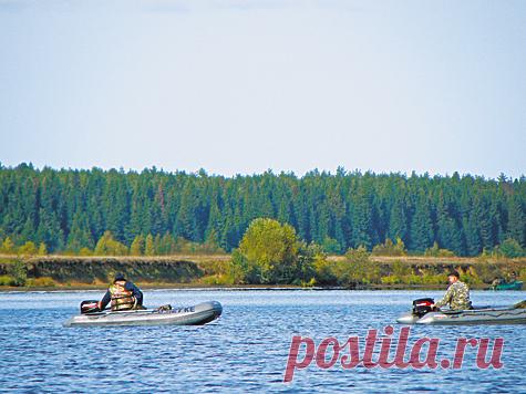 Требую запретить квок!