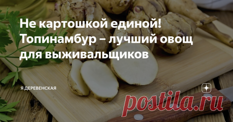 Не картошкой единой! Топинамбур – лучший овощ для выживальщиков Самый простой в выращивании овощ, к тому же богатый полезными веществами!