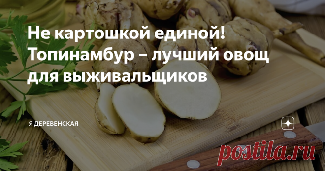Не картошкой единой! Топинамбур – лучший овощ для выживальщиков Самый простой в выращивании овощ, к тому же богатый полезными веществами!
