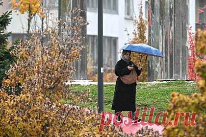 Москвичей призвали оставить мысли о снежных бабах